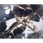 Unique Fulvio Bianconi Sculpture, 13